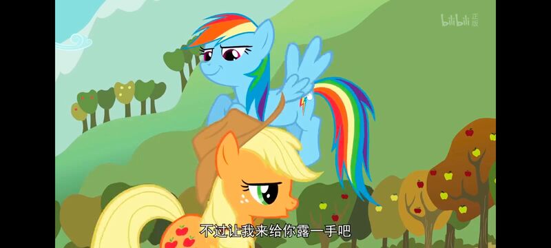 小马宝莉,小马宝莉友谊魔法,彩虹小马,我的小马驹,动画,动漫,番剧,ACG