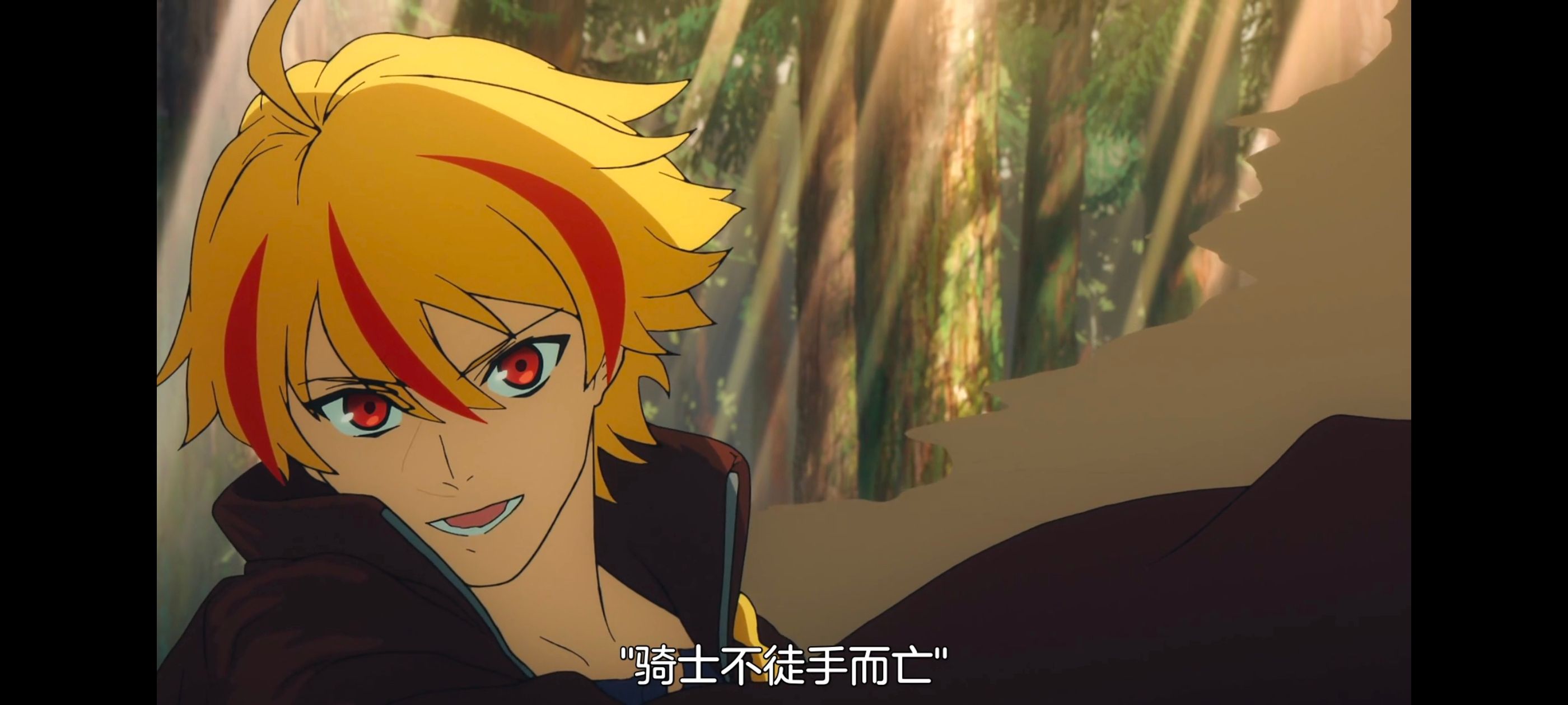 命运奇异赝品,FatestrangeFake,动画,动漫,番剧,ACG