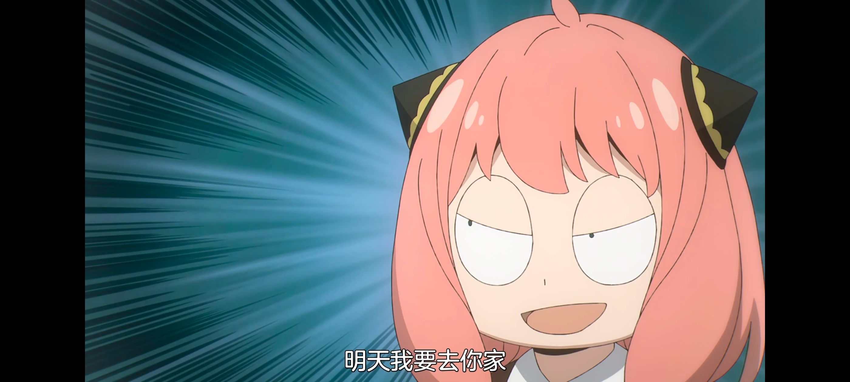 间谍过家家,SPYFAMILY,动画,动漫,番剧,ACG