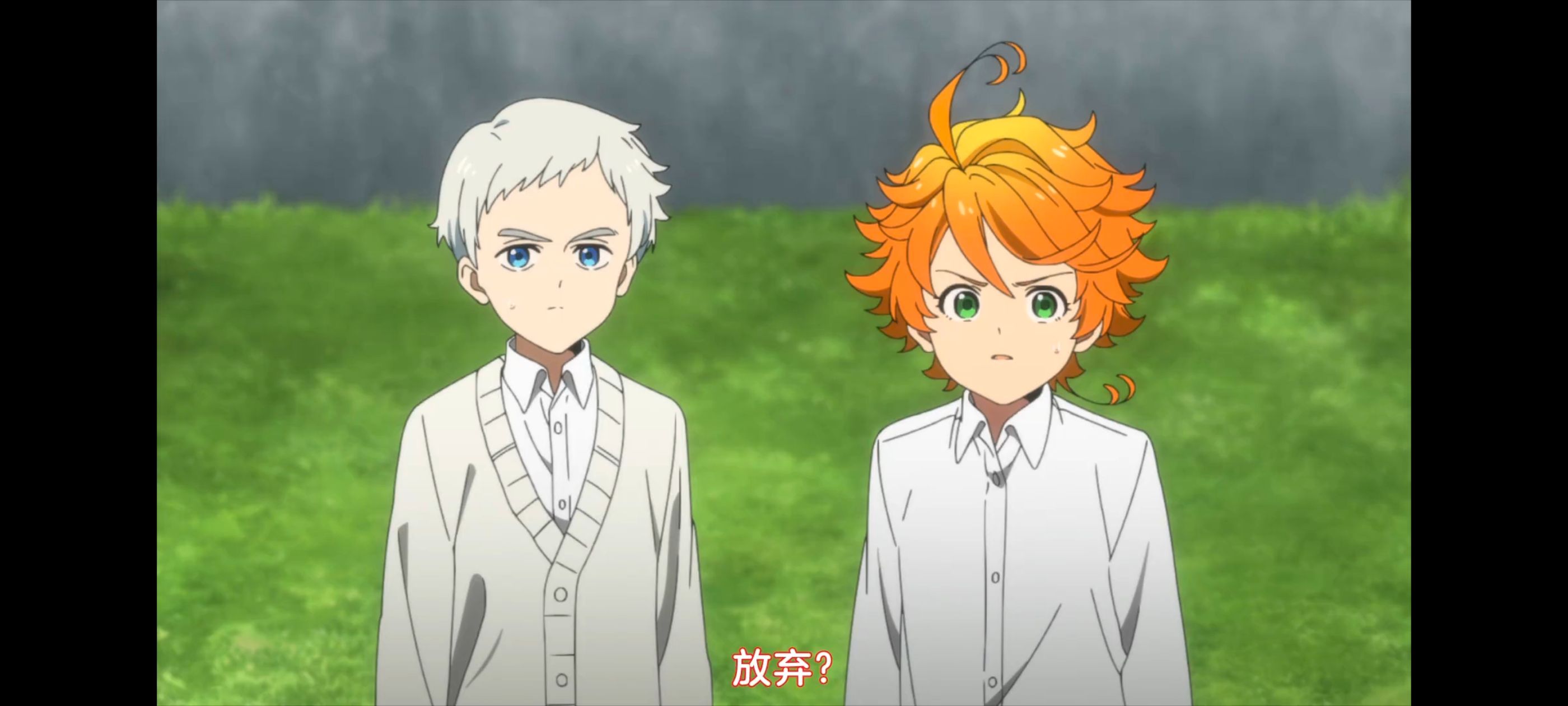 约定的梦幻岛,动画,动漫,番剧,二次元,ACG