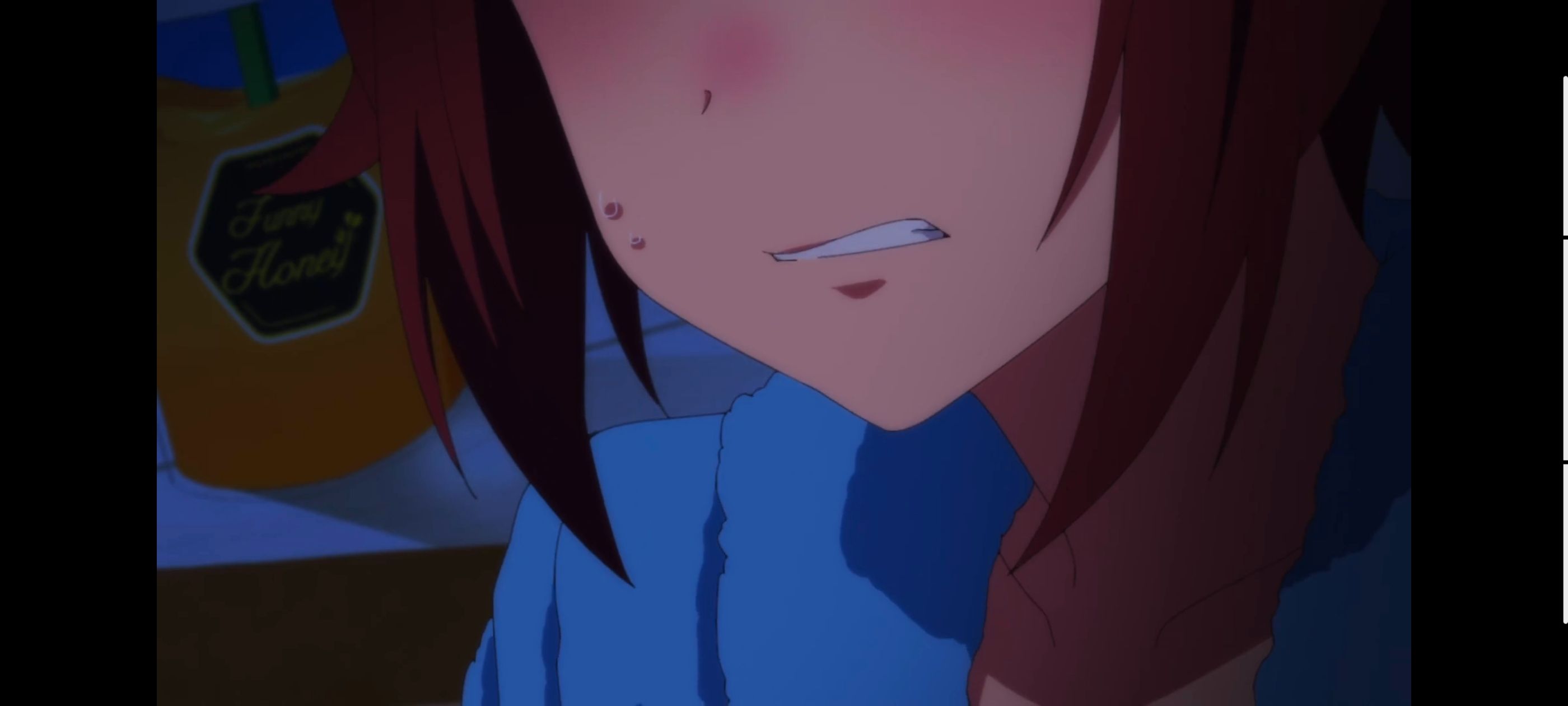 赛马娘,赛马娘PrettyDreby,赛马娘第二季,动画,动漫,番剧,二次元,ACG