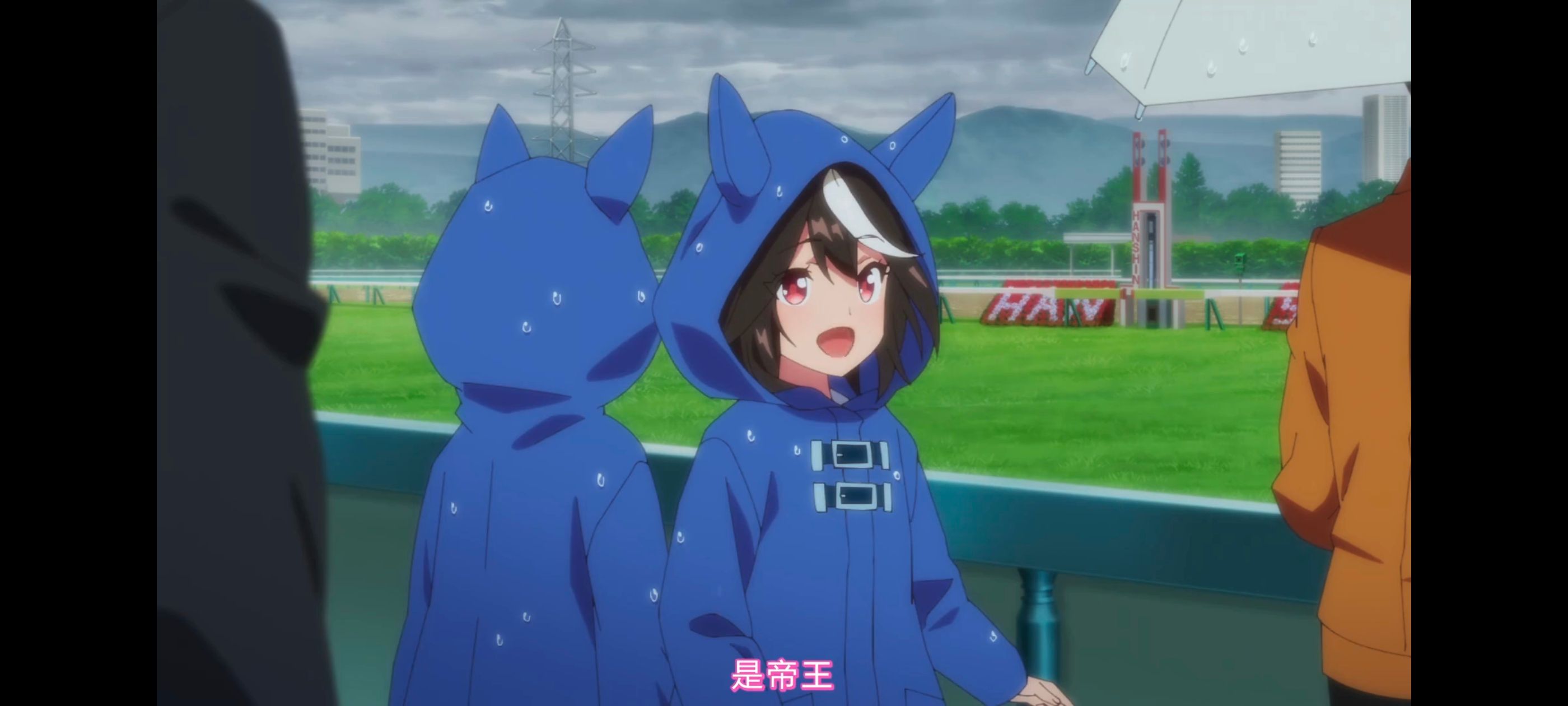 赛马娘,赛马娘PrettyDreby,赛马娘第二季,动画,动漫,番剧,ACG