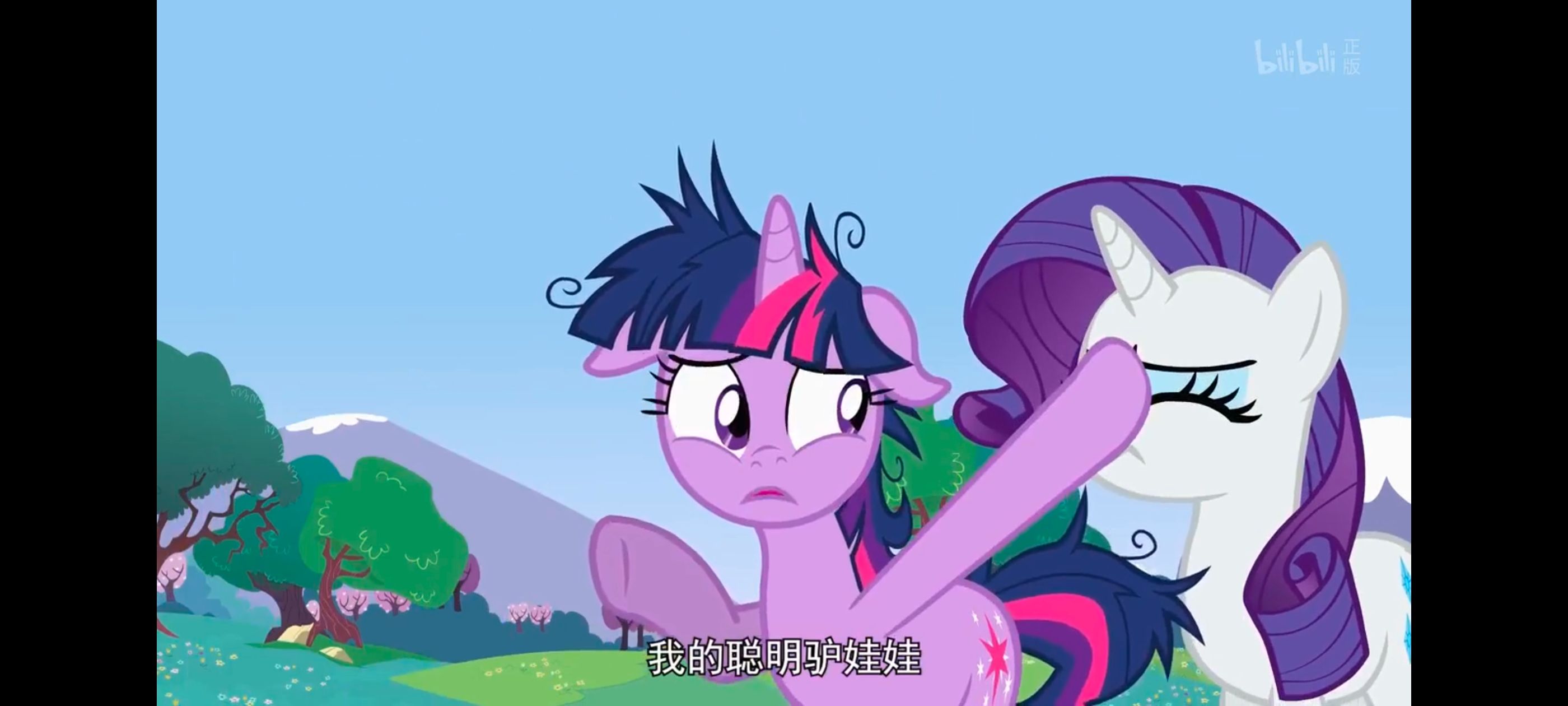 小马宝莉,小马宝莉友谊魔法,彩虹小马,我的小马驹,动画,动漫,番剧,ACG