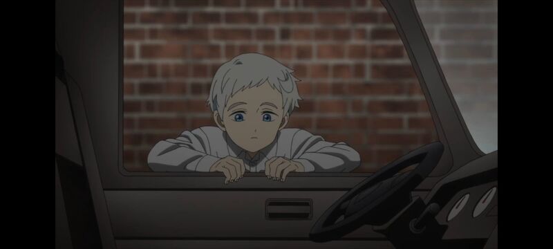 约定的梦幻岛,动画,动漫,番剧,ACG