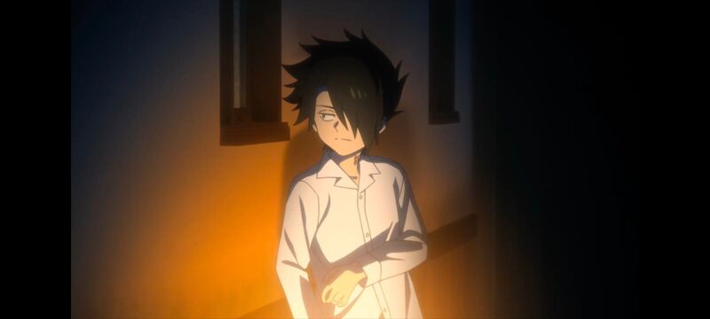 约定的梦幻岛,动画,动漫,番剧,ACG