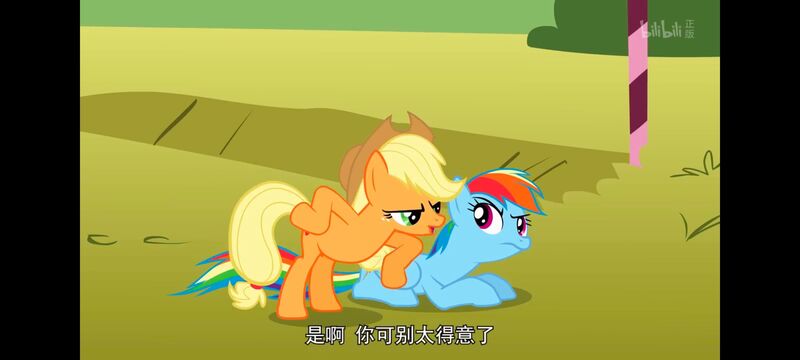 小马宝莉,小马宝莉友谊魔法,彩虹小马,我的小马驹,动画,动漫,番剧,ACG