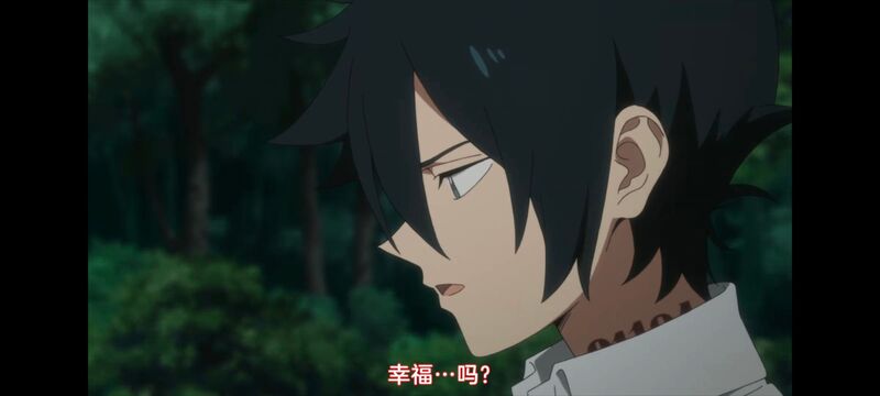 约定的梦幻岛,动画,动漫,番剧,ACG