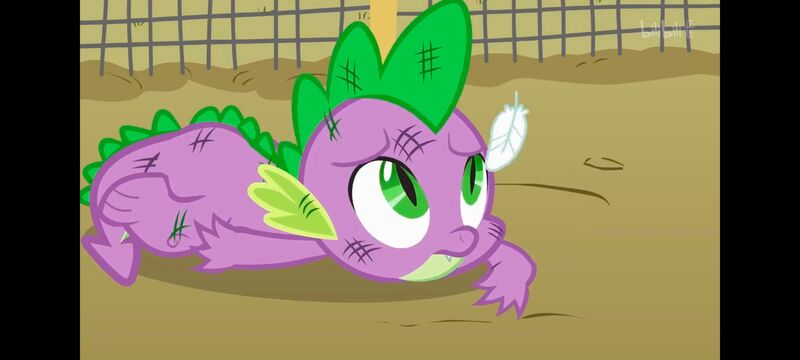 小马宝莉,彩虹小马,我的小马驹,动画,动漫,番剧,ACG,小马宝莉友谊魔法