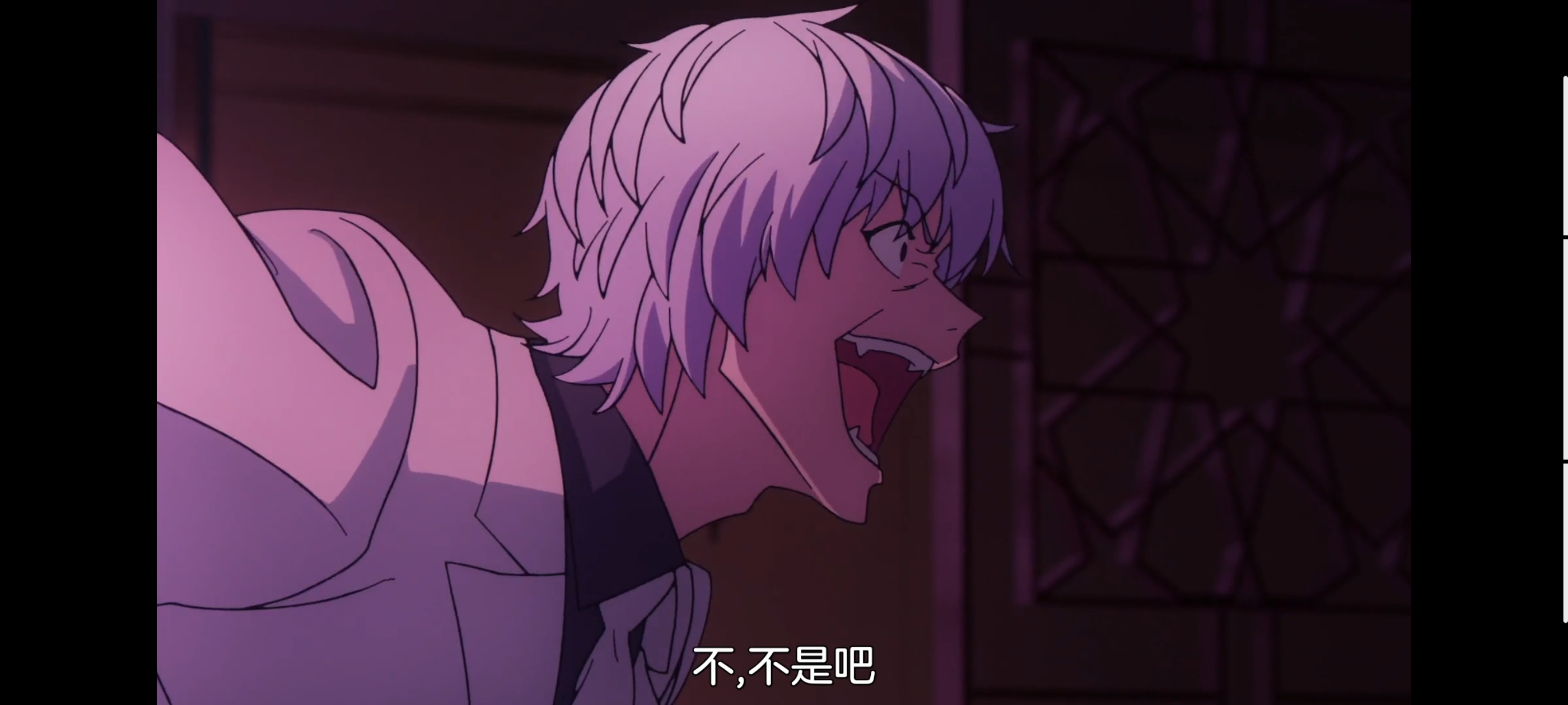 FATE,命运奇异赝品,FatestrangeFake,动画,动漫,番剧,二次元,ACG