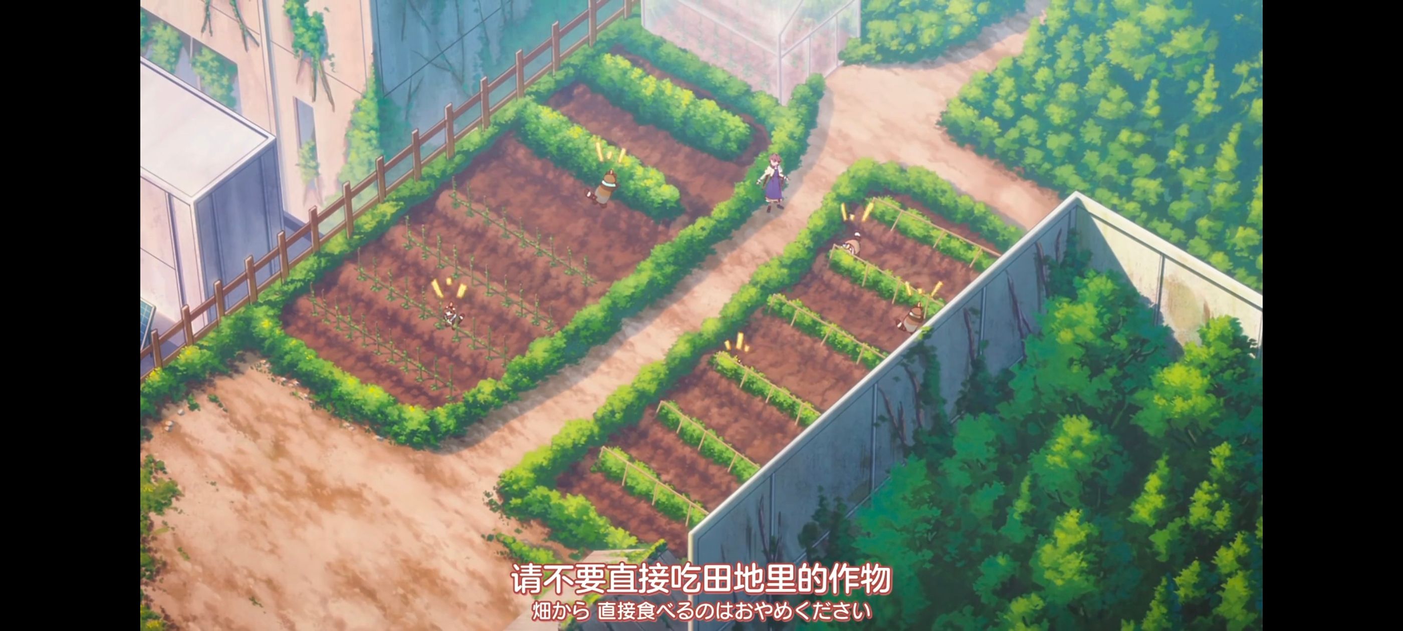 末日后酒店,动画,动漫,番剧,二次元,ACG