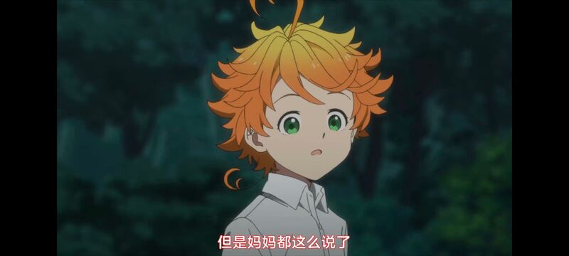 约定的梦幻岛,动画,动漫,番剧,ACG