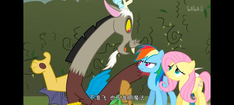 小马宝莉,小马宝莉友谊魔法,彩虹小马,我的小马驹,动画,动漫,番剧,ACG