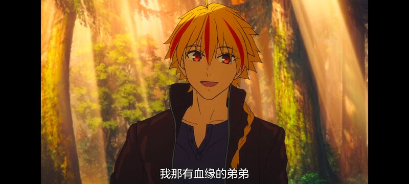 命运奇异赝品,FatestrangeFake,动画,动漫,番剧,ACG