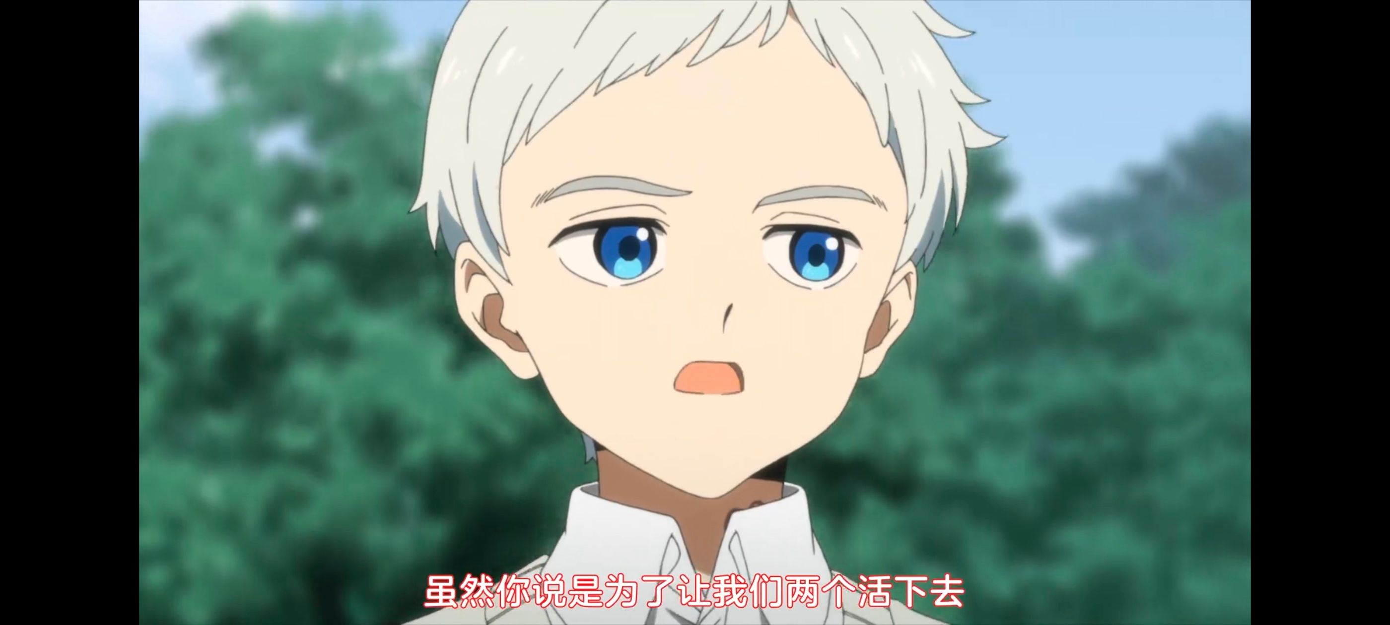 约定的梦幻岛,动画,动漫,番剧,ACG