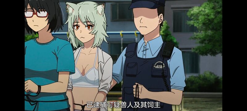 尼古喵喵,雅尼猫,动画,动漫,番剧,二次元,日漫,ACG