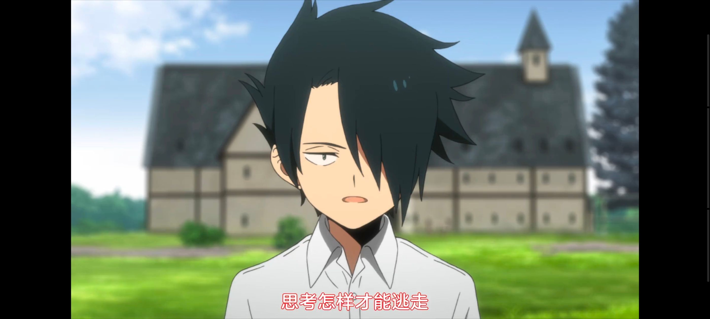 约定的梦幻岛,动画,动漫,番剧,ACG