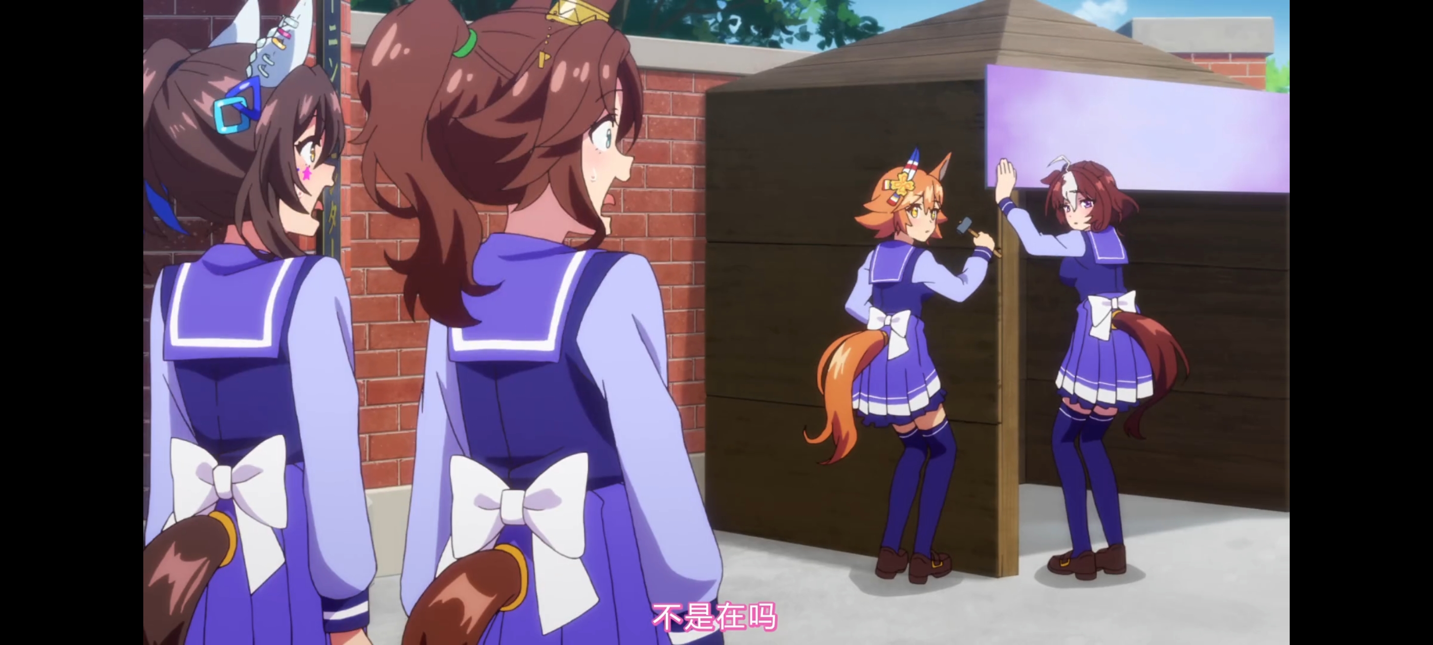 赛马娘,赛马娘第二季,赛马娘PrettyDerby,动画,动漫,番剧,二次元,ACG