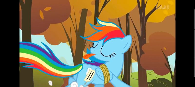 小马宝莉,小马宝莉友谊魔法,彩虹小马,我的小马驹,动画,动漫,番剧,ACG