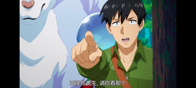 网购技能开启异世界美食之旅,拥有超常技能的异世界流浪美食家,动画,动漫,番剧,ACG