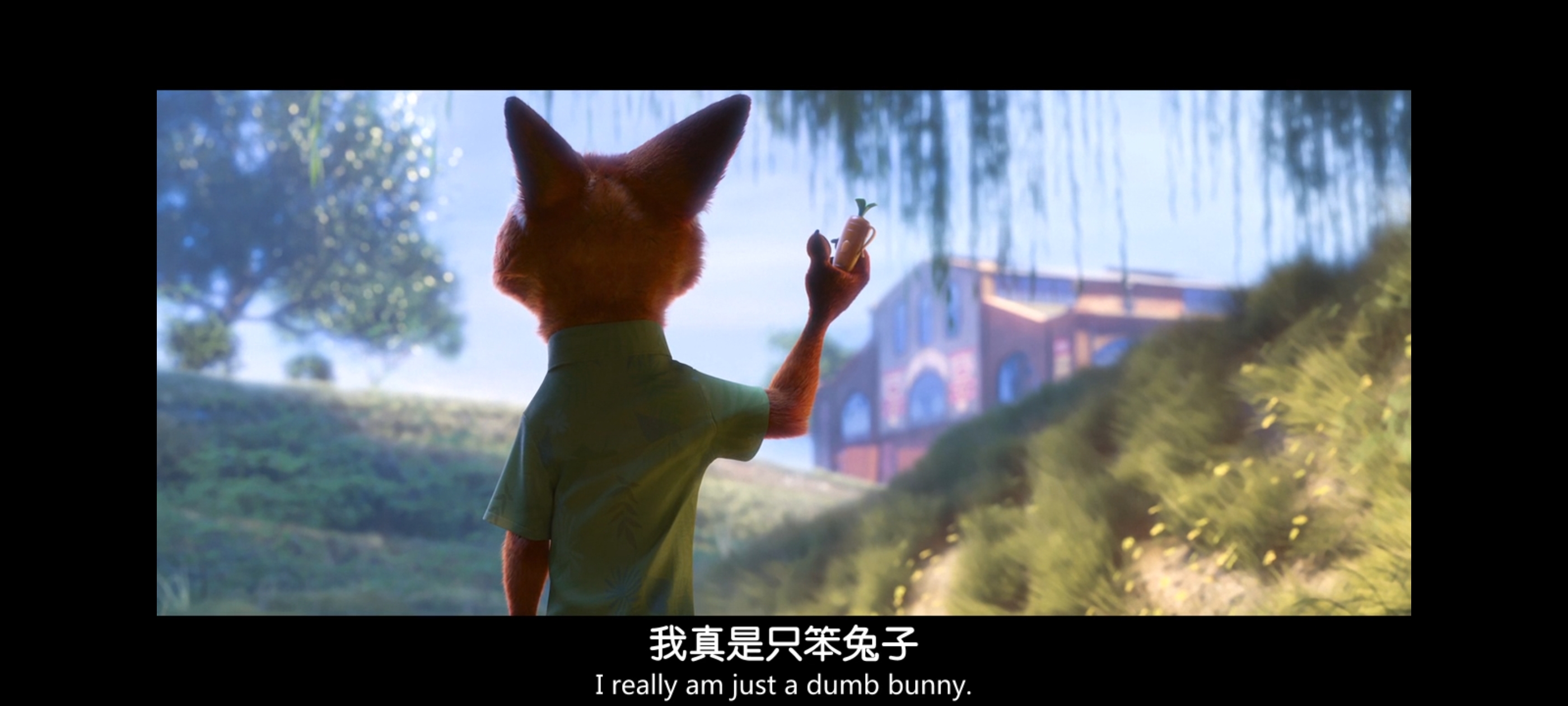 疯狂动物城,动画电影,动漫,动画,电影,二次元,ACG