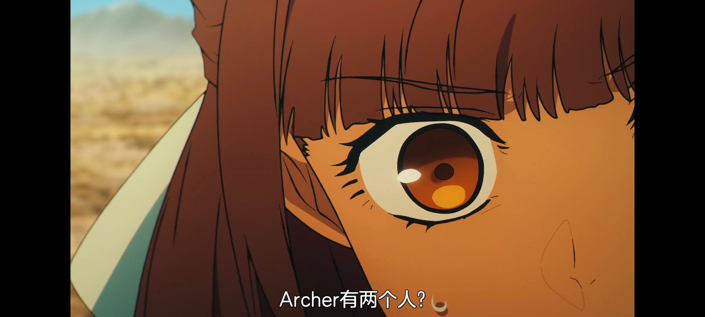 命运奇异赝品,FatestrangeFake,动画,动漫,番剧,ACG