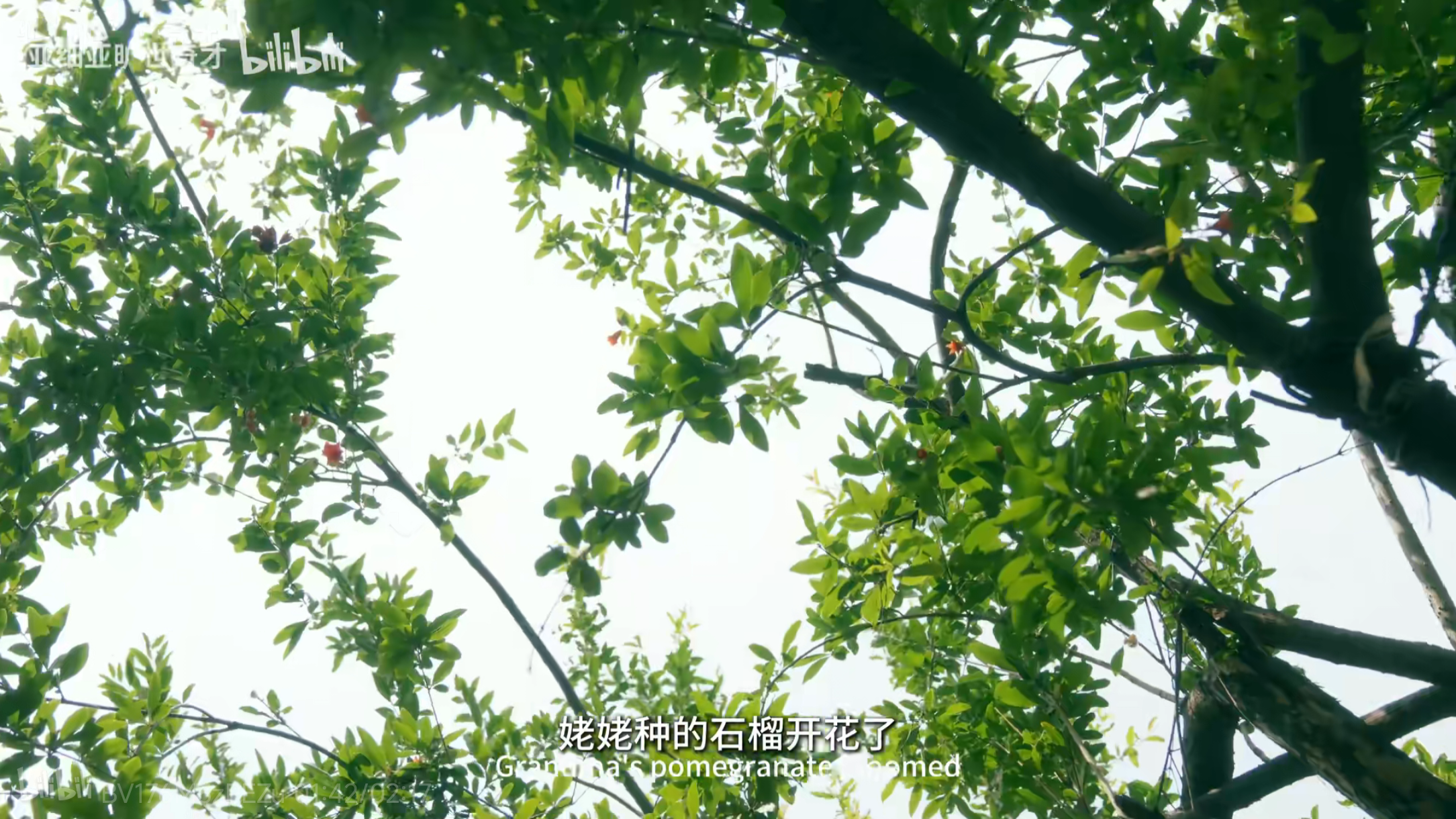 /static/b4654608d580c9b7a62276246e39a513ff74b4d1576c7c96f37191e480fc3fa8.png
