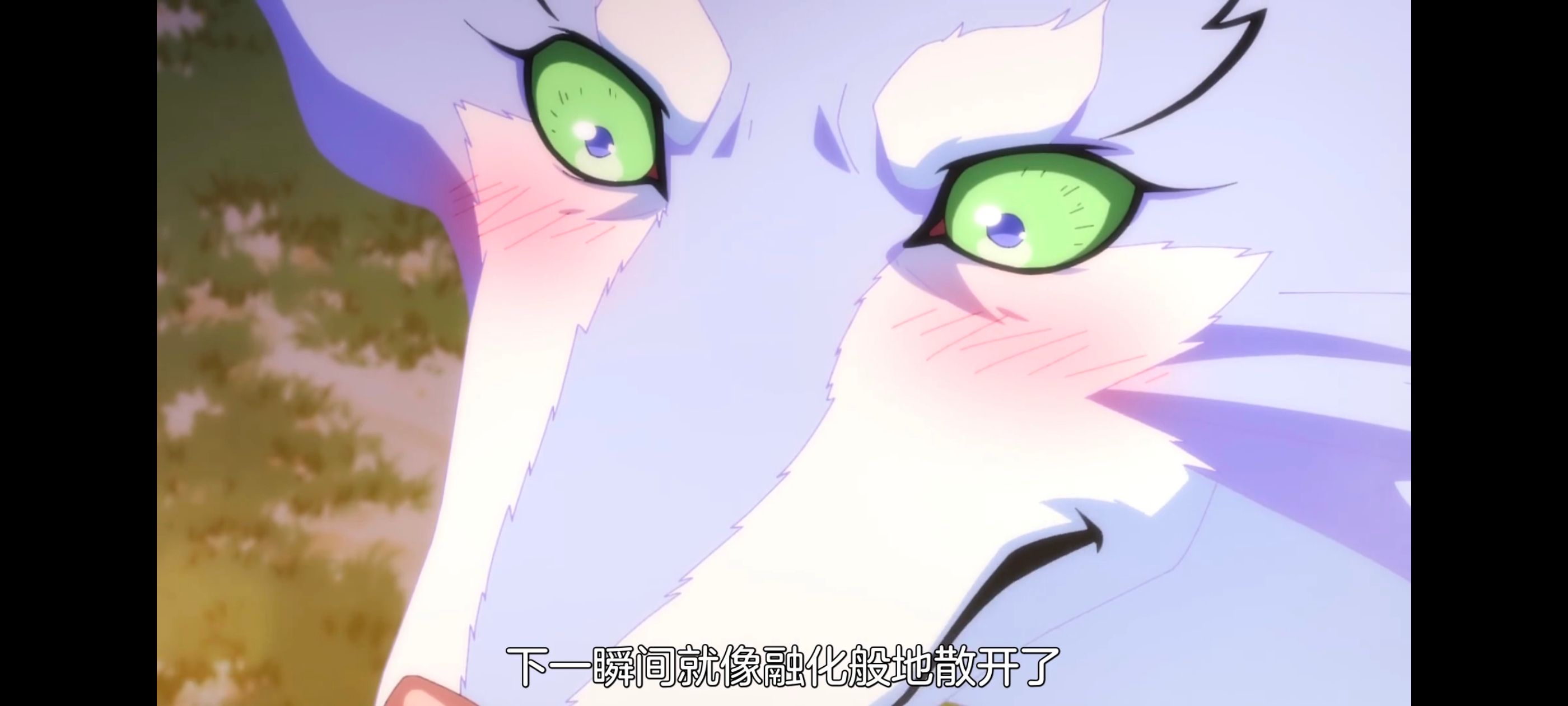 网购技能开启异世界美食之旅,拥有超常技能的异世界流浪美食家,动画,动漫,番剧,ACG