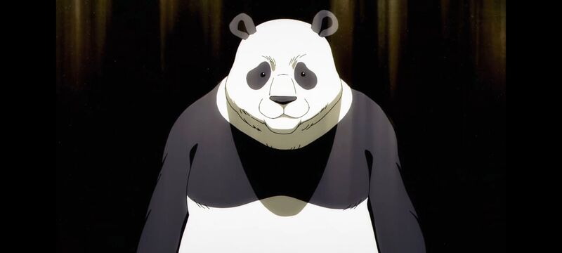 咒术回战,咒术回战死灭回游,动画,动漫,番剧,ACG