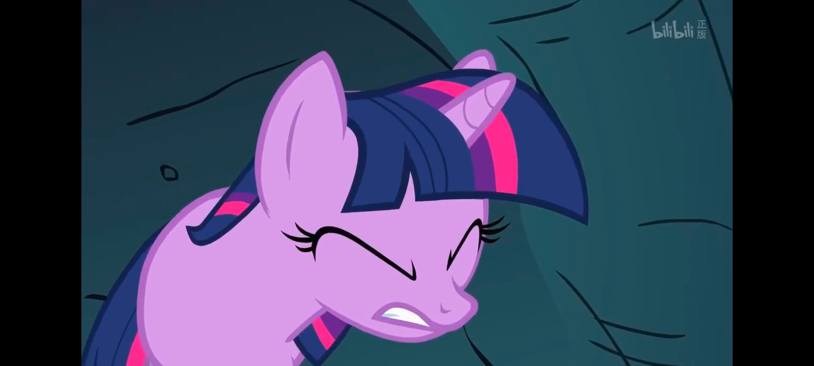 彩虹小马,小马宝莉,我的小马驹,小马宝莉友谊魔法,动画,动漫,番剧,ACG