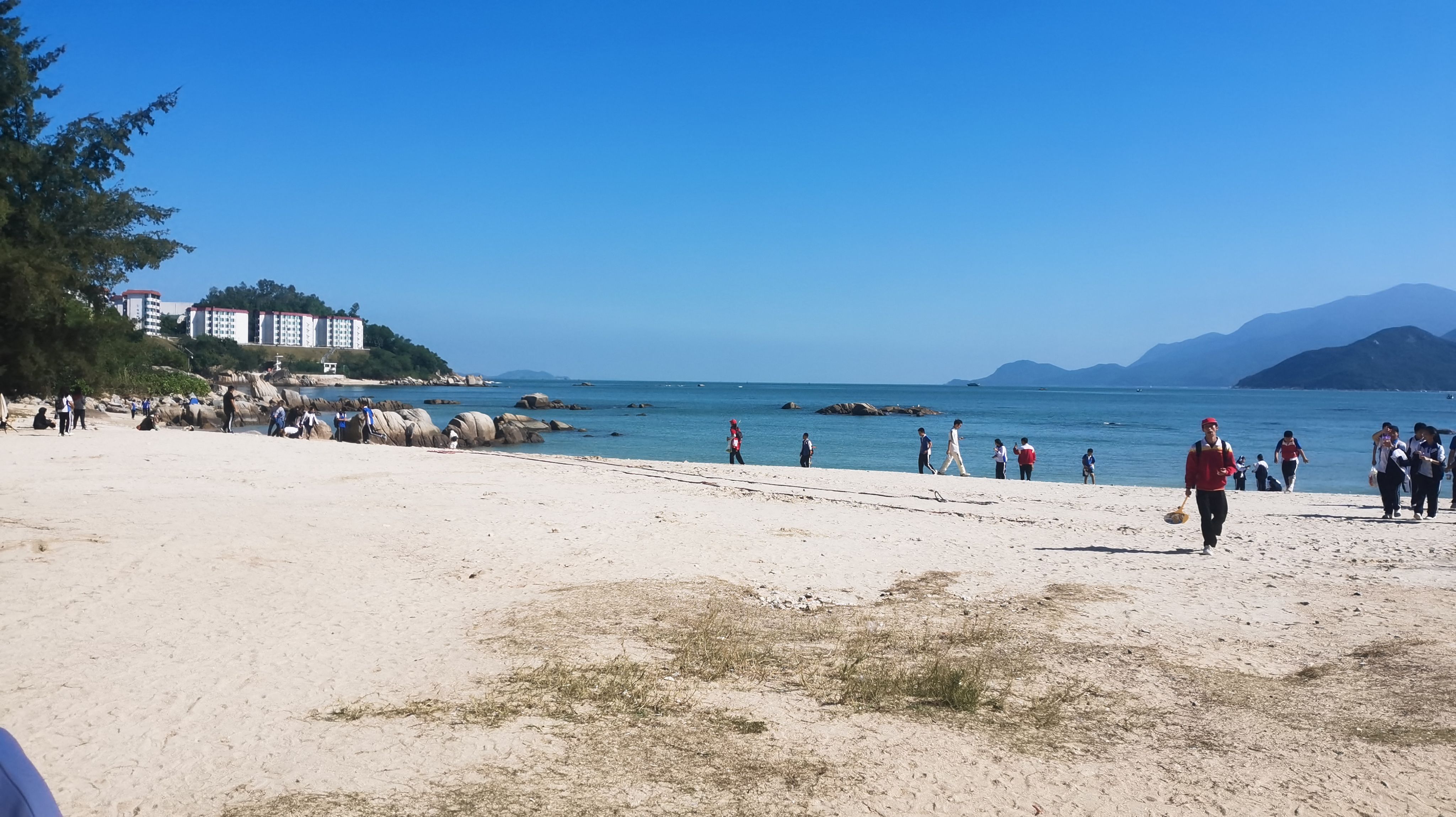 mygo,孤独摇滚,GirlsBandCry,轻音少女,美图,重音teto,初音miku,高松灯,鼓手余命十日谭,avemujica