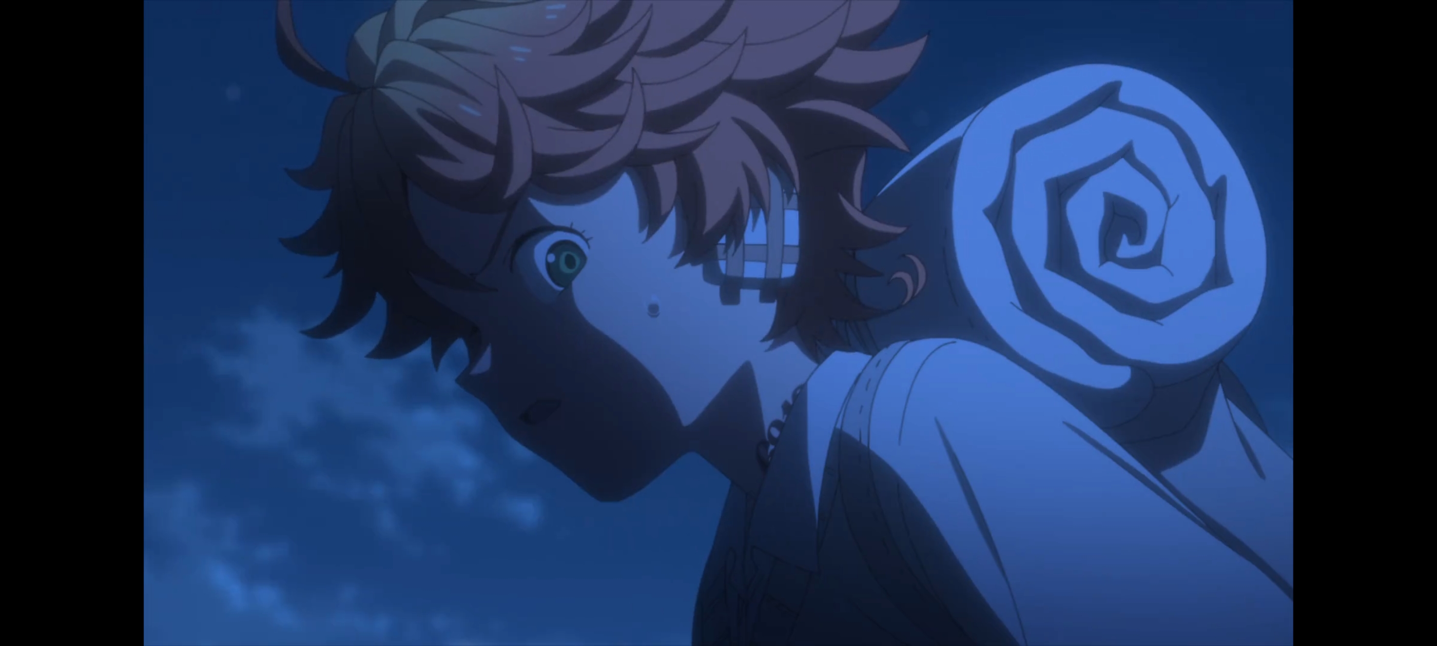 约定的梦幻岛,动画,动漫,番剧,二次元,ACG