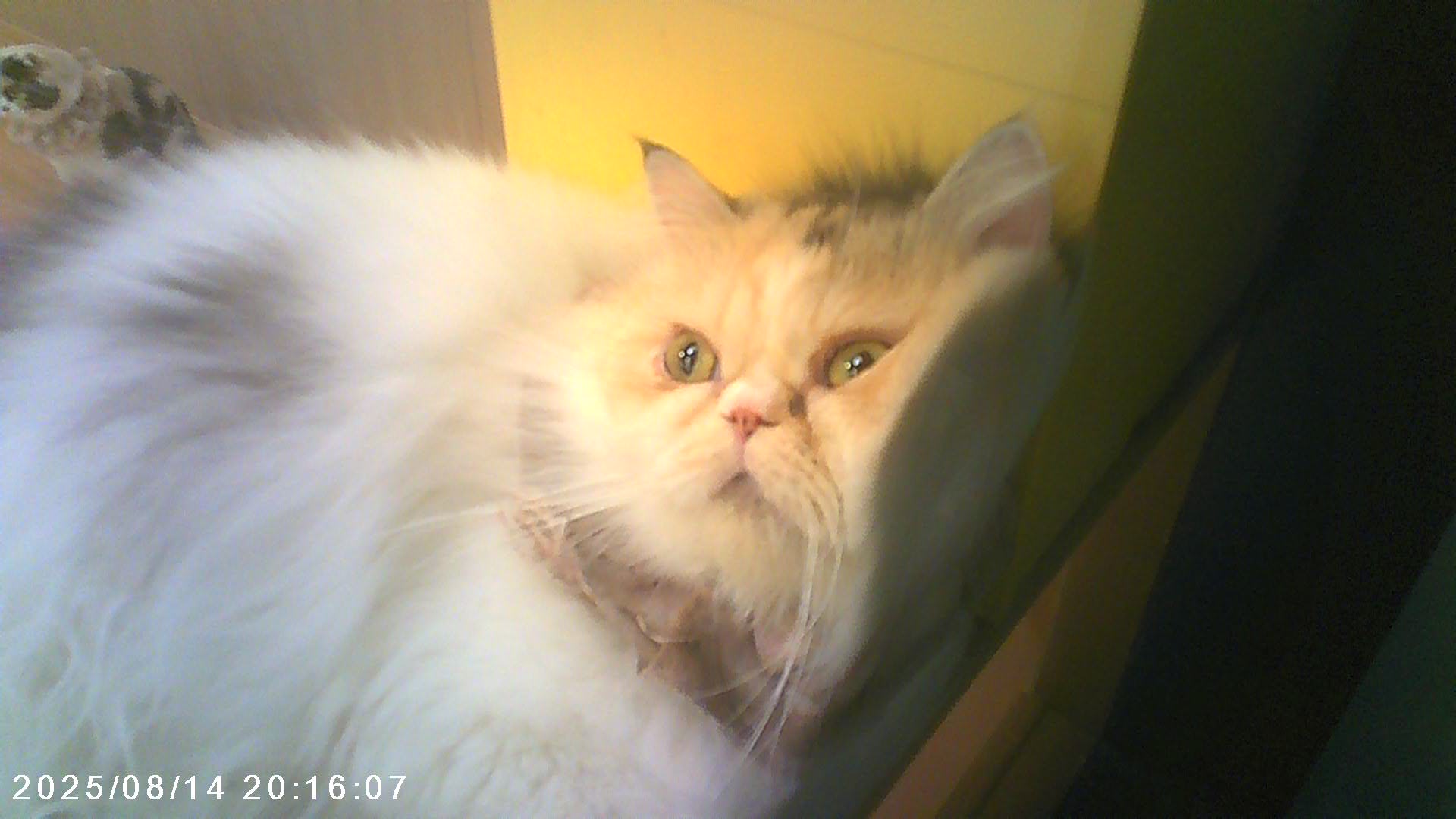 /static/b4da7188b64bca94fb59397b9095b390b46be65eee303d557710fc88f8c85067.jpg