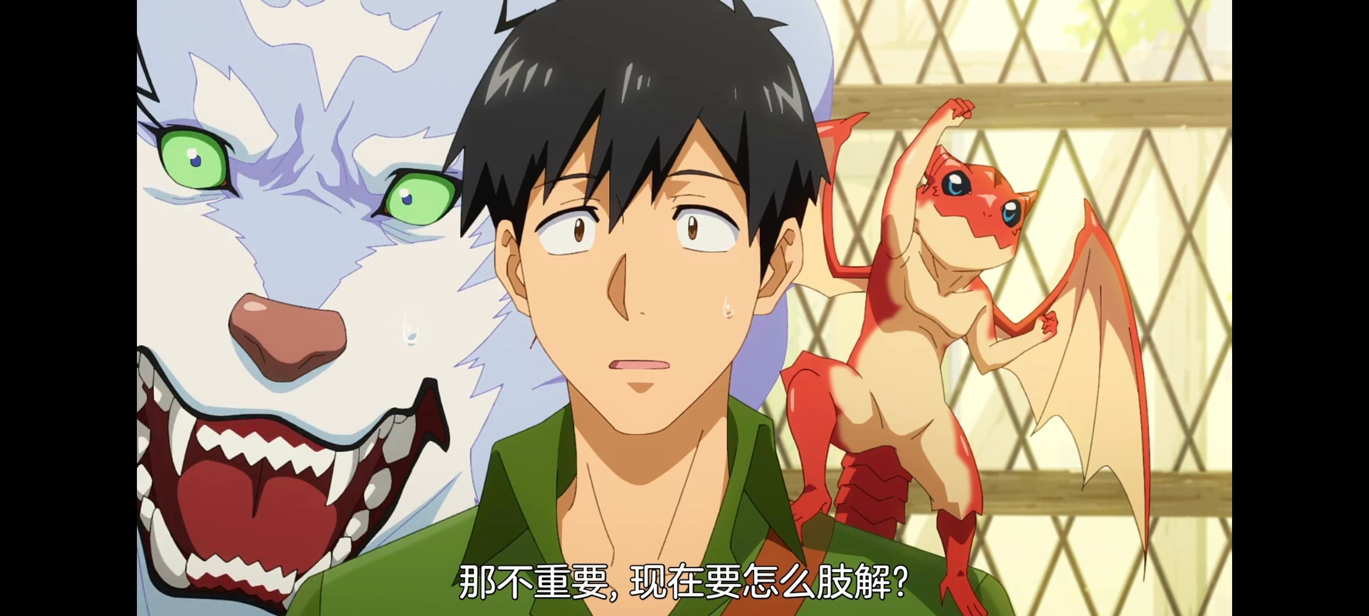 网购技能开启异世界美食之旅,拥有超常技能的异世界流浪美食家,动画,动漫,番剧,ACG