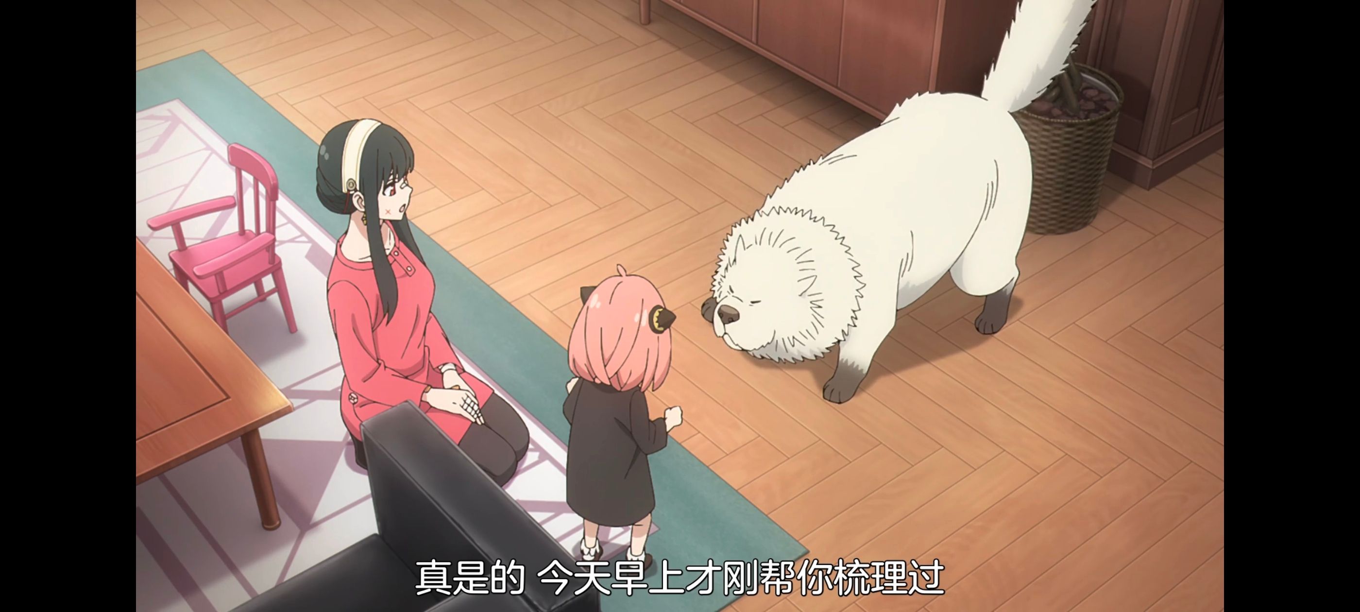 间谍过家家,SPYFAMILY,动画,动漫,番剧,ACG