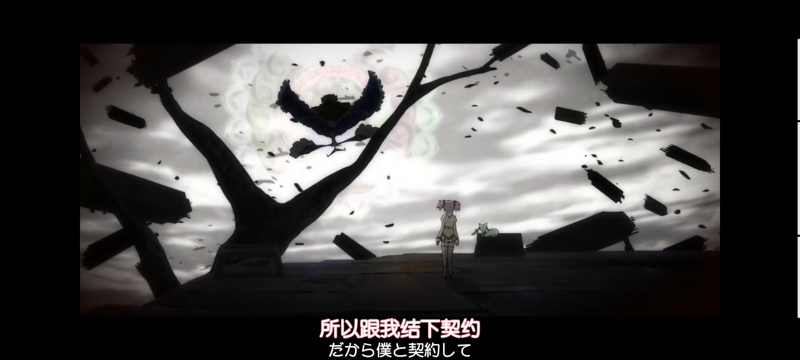 魔法少女小圆,魔法少女,动漫,动画,番剧,ACG