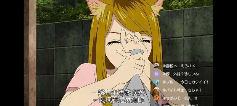 尼古喵喵,雅尼猫,动画,动漫,番剧,二次元,日漫,ACG