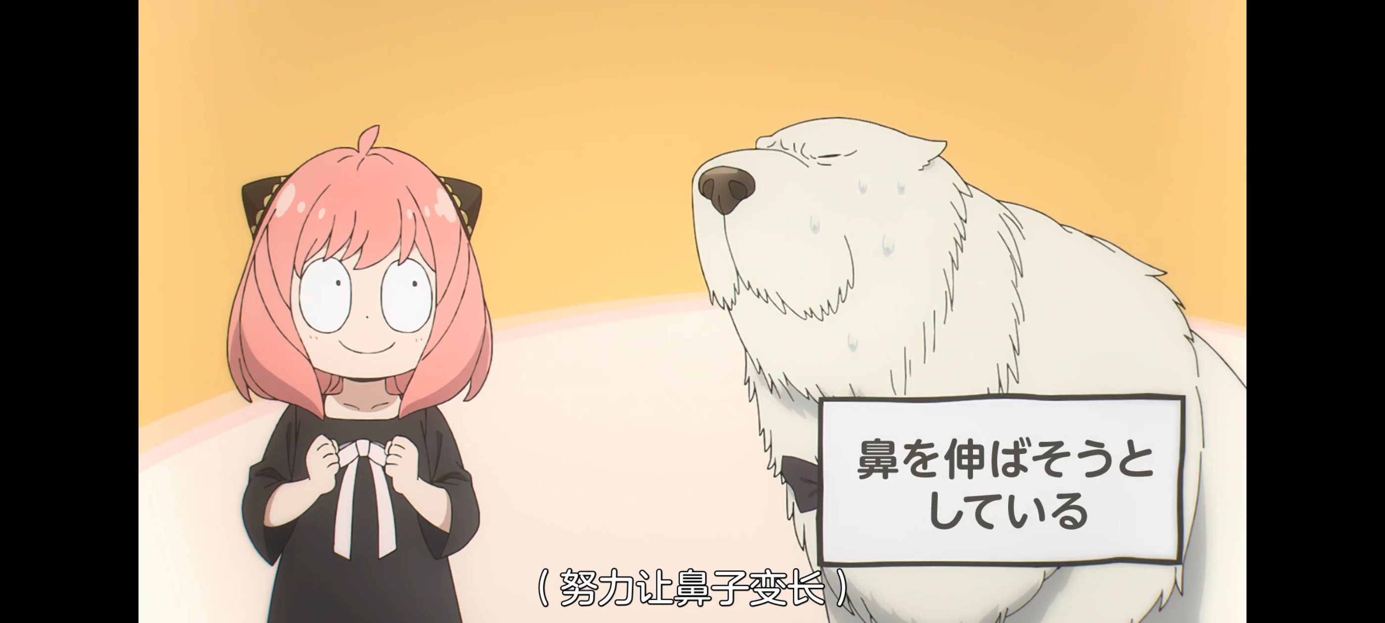 间谍过家家,SPYFAMILY,动画,动漫,番剧,ACG