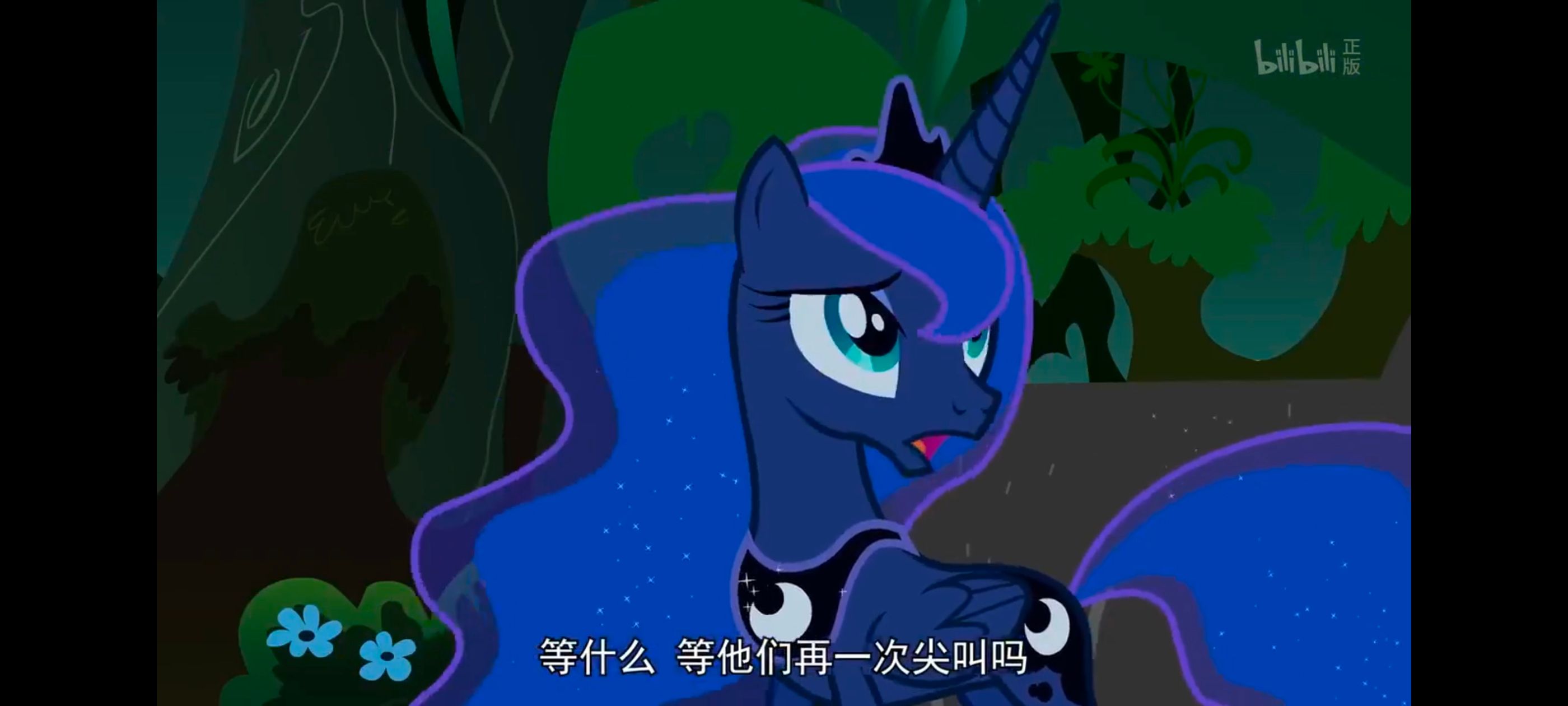 小马宝莉,小马宝莉友谊魔法,彩虹小马,我的小马驹,动漫,动画,番剧,ACG