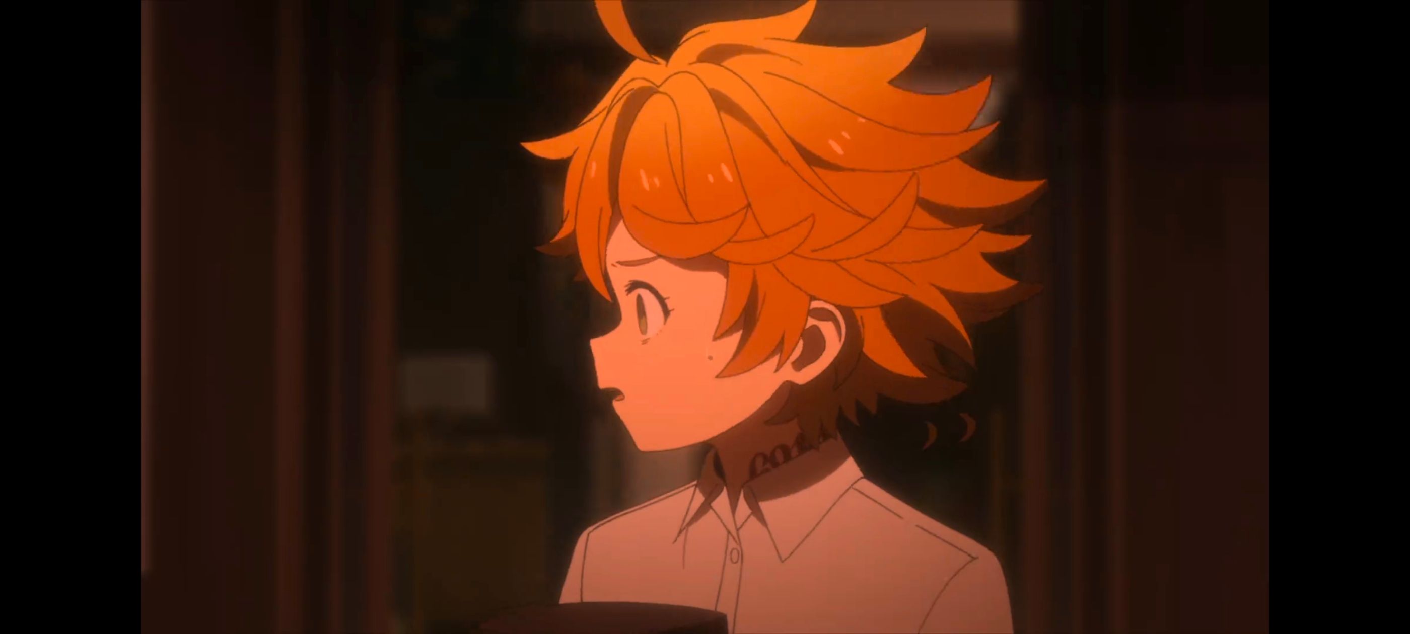 约定的梦幻岛,动画,动漫,番剧,ACG