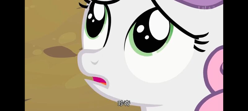 小马宝莉,小马宝莉友谊魔法,彩虹小马,我的小马驹,动画,动漫,番剧,ACG