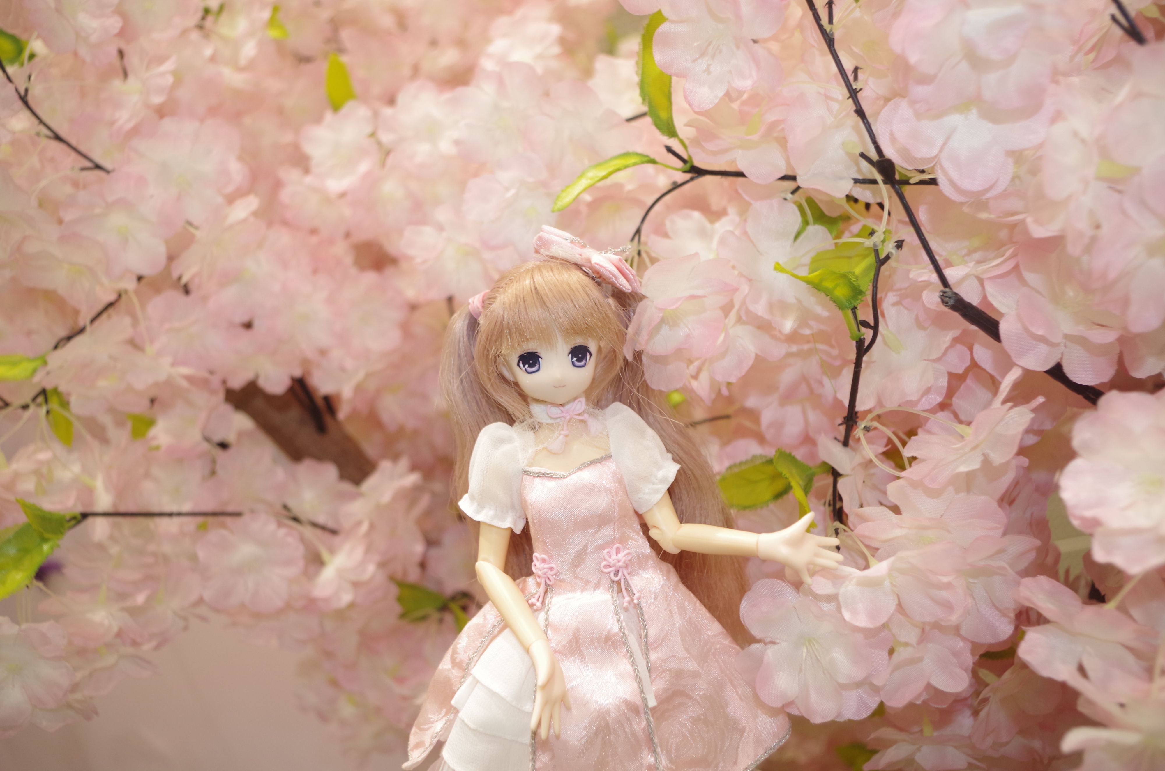 漫展
