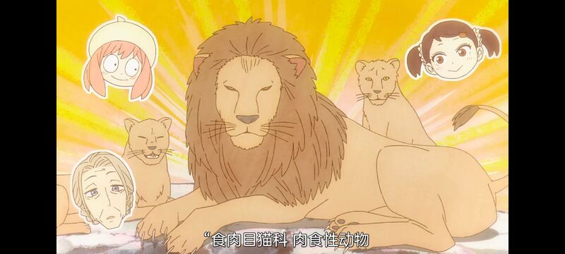 间谍过家家,SPYFAMILY,动画,动漫,番剧,ACG