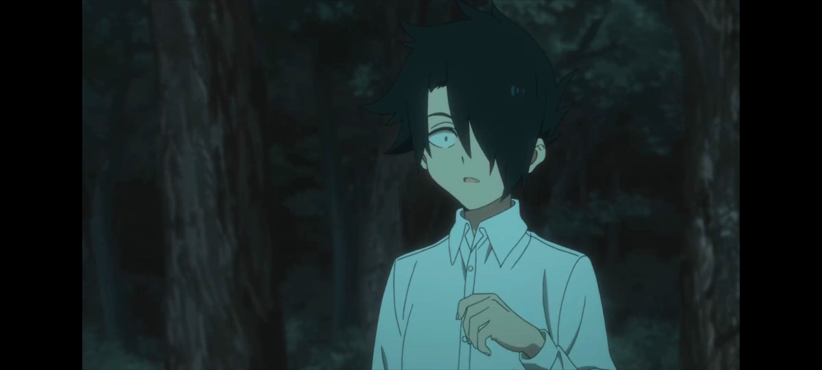 约定的梦幻岛,动画,动漫,番剧,ACG