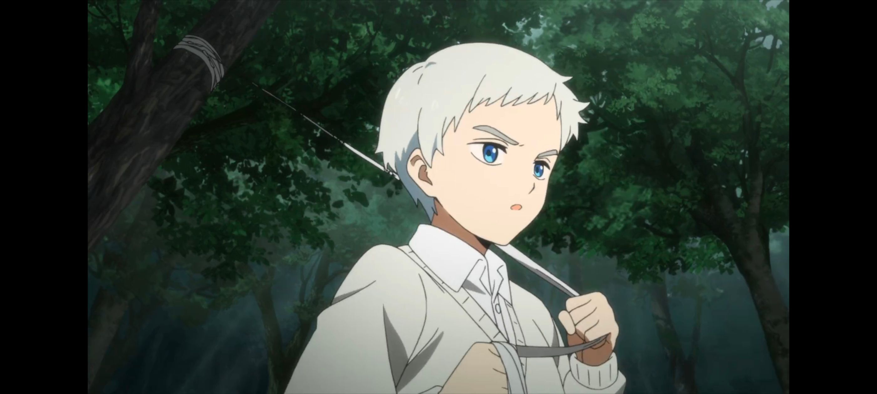 约定的梦幻岛,动画,动漫,番剧,二次元,ACG