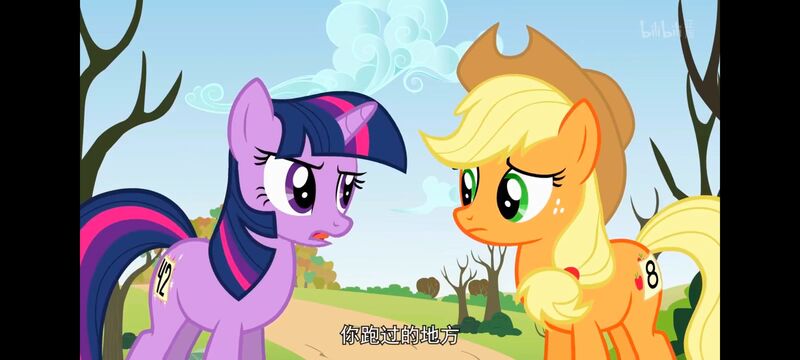 小马宝莉,小马宝莉友谊魔法,彩虹小马,我的小马驹,动画,动漫,番剧,ACG