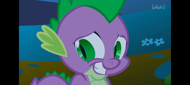 小马宝莉,彩虹小马,我的小马驹,动画,动漫,番剧,ACG,小马宝莉友谊魔法