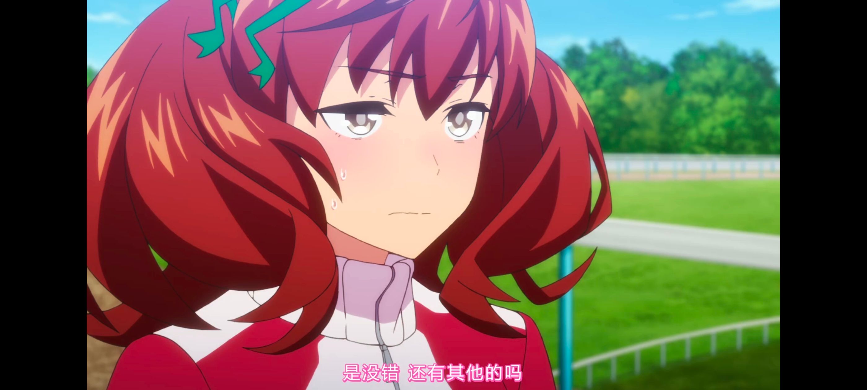 赛马娘,赛马娘PrettyDreby,赛马娘第二季,动画,动漫,番剧,ACG