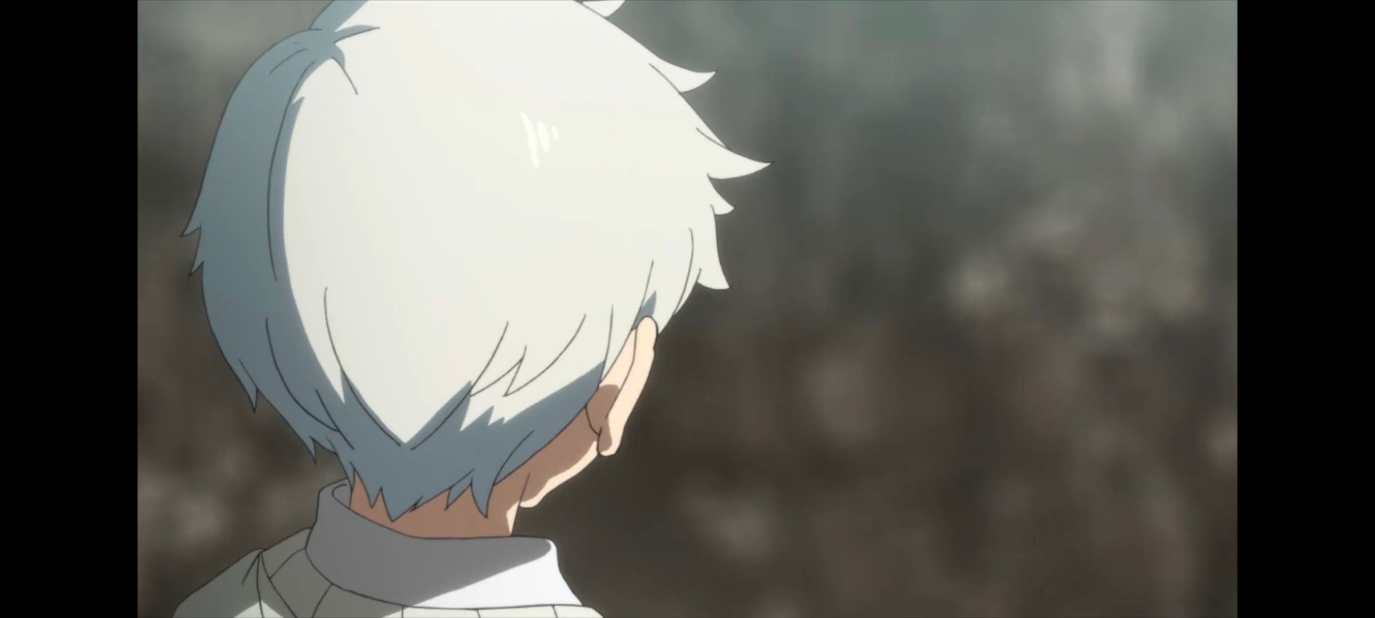 约定的梦幻岛,动画,动漫,番剧,二次元,ACG