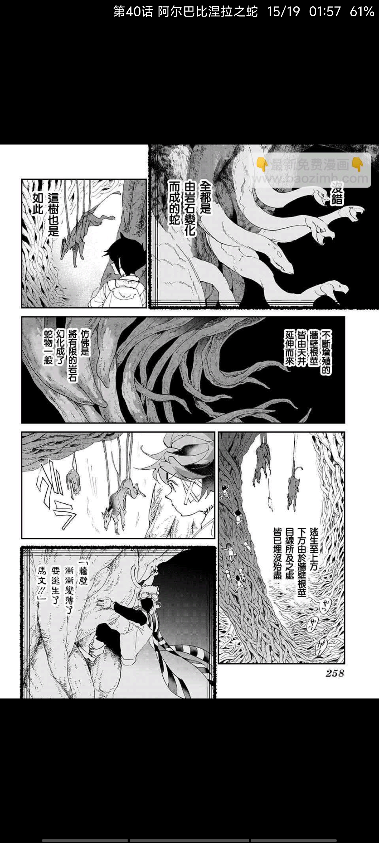 约定的梦幻岛,漫画,动漫,ACG