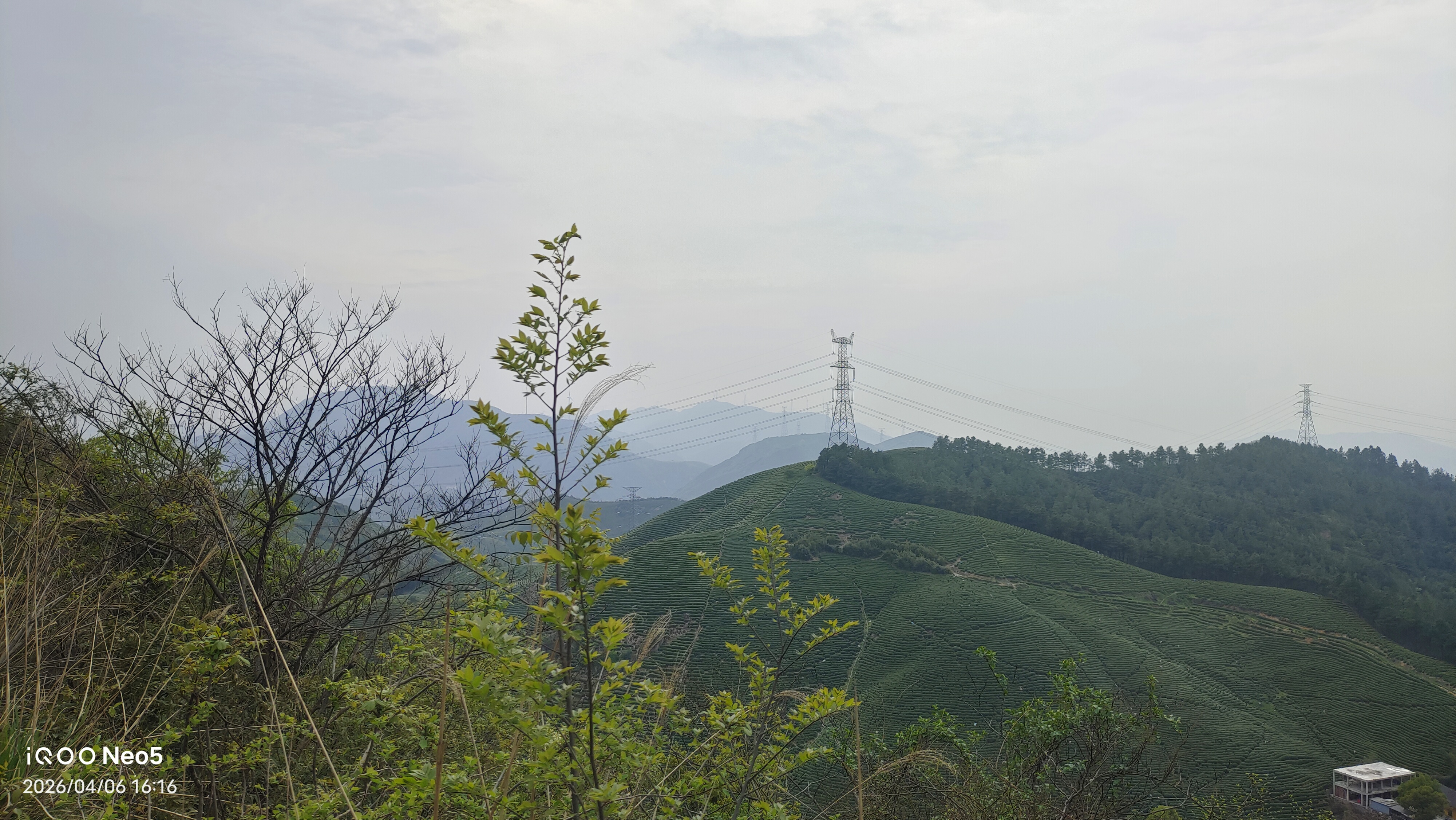 跑山,旅行,假期,生活,湖州